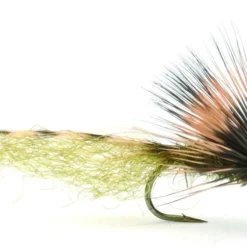 Bs Grandisklekker - 8