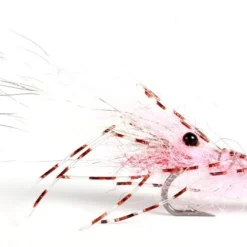 Leoshrimp Pink #6