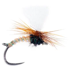 Guideline Indi Klink #12