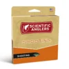 Scientific Anglers Deep Water Express ST