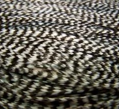 Whiting High & Dry Hackle Cape