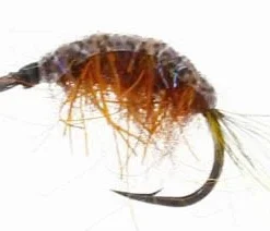 Tangloppen UV Nogales Suwacky