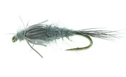 A.P. Muskrat Muskrat TMC 3761 #10