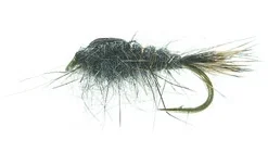 Gold Ribbed Hare`s Ear Hare Ear TMC 3761 #12