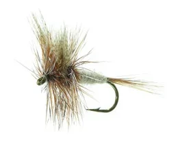 March Brown Brown TMC 100 #12