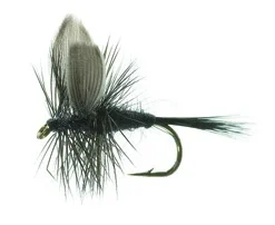 Black Gnat Black TMC 100 #12