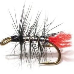 Zulu Silver Palmer Black