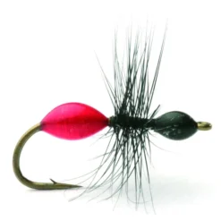 Transparant Ant Black/Red Maur Tørr