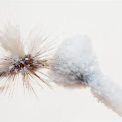 Hunt's Original Floatant -Aanbiedingen Hengel Set Winkel HNTF 3