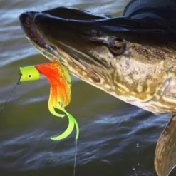 Howitzer Popper Heads -Aanbiedingen Hengel Set Winkel SS HP WLr 3