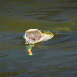 Howitzer Popper Heads -Aanbiedingen Hengel Set Winkel SS HP WLr 4