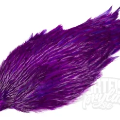 Whiting Special Lila Nackar