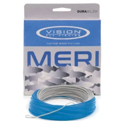 Vision Meri Fast Inter